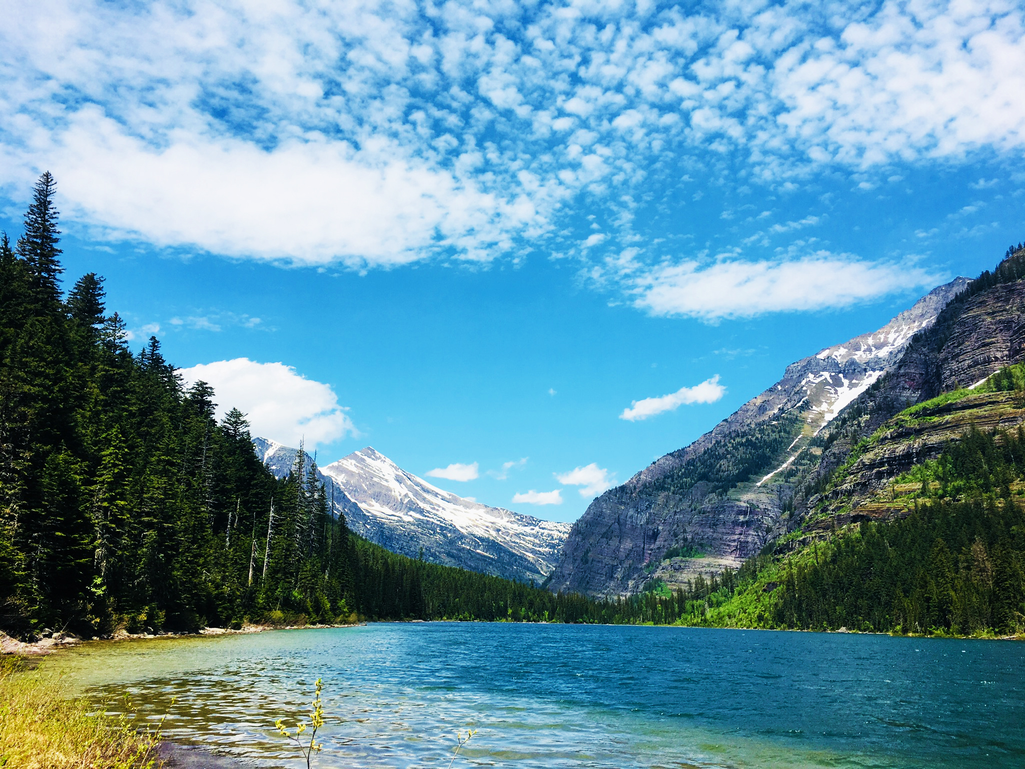 Avalanche Lake - Glacier Park