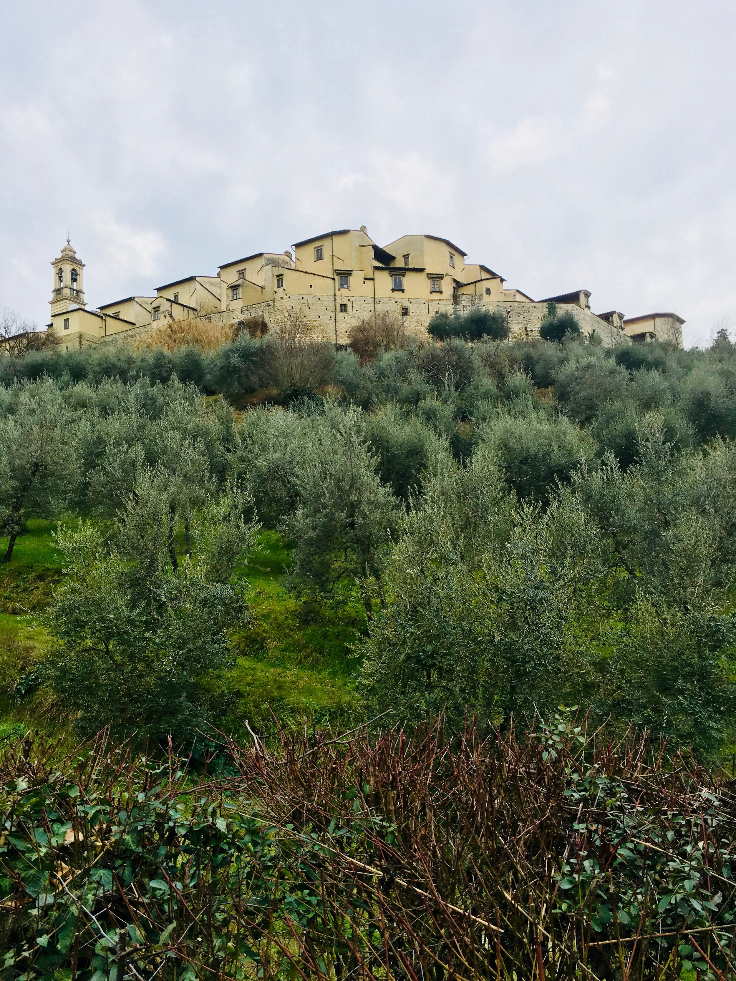 Certosa Monastery