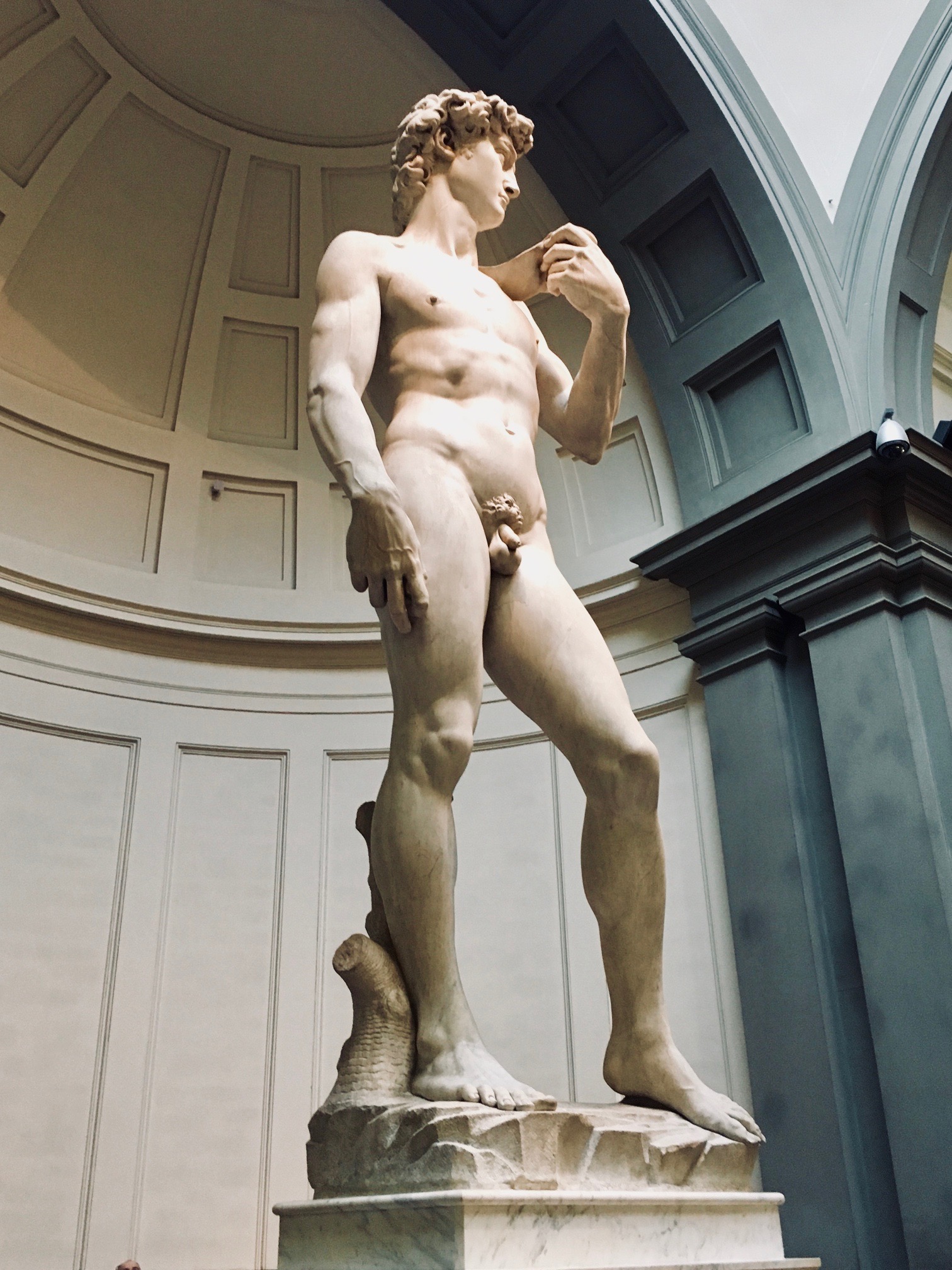 David