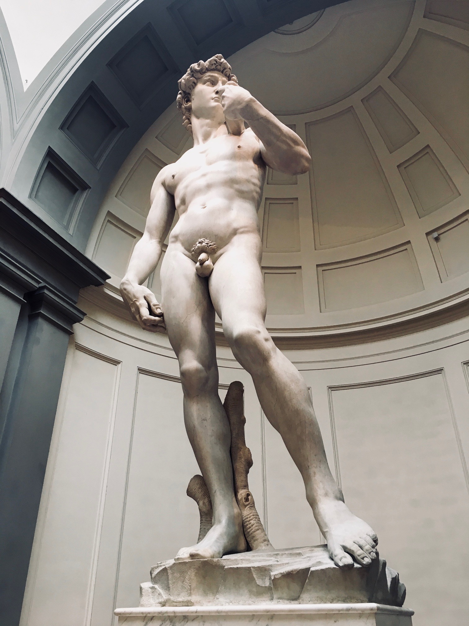 David