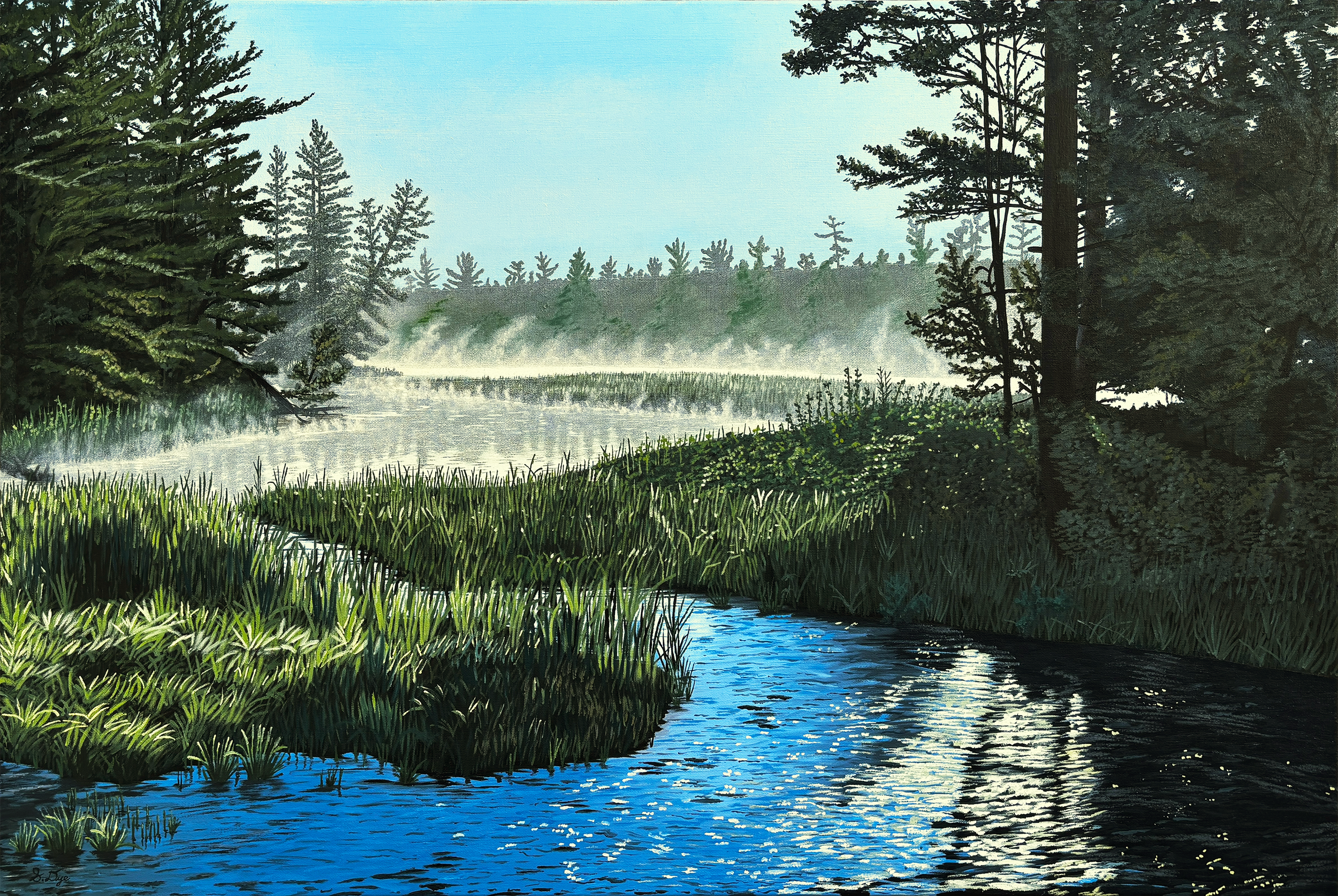 Saranac Lake Creek
