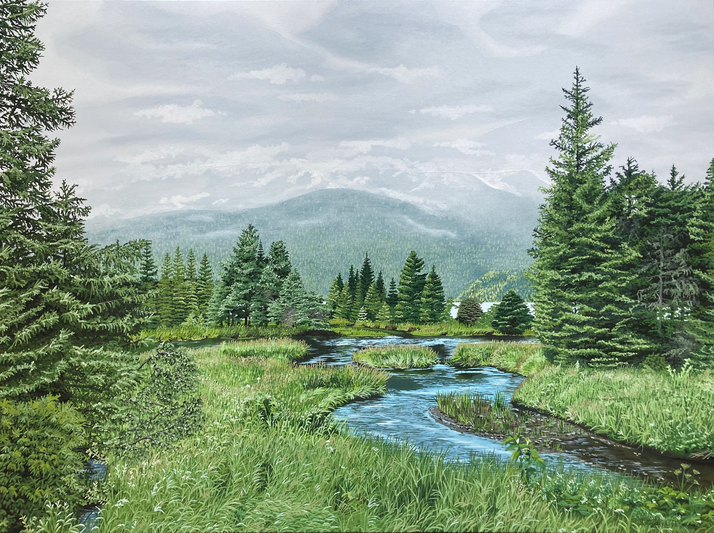 Alaska Tongass Final_Small.png