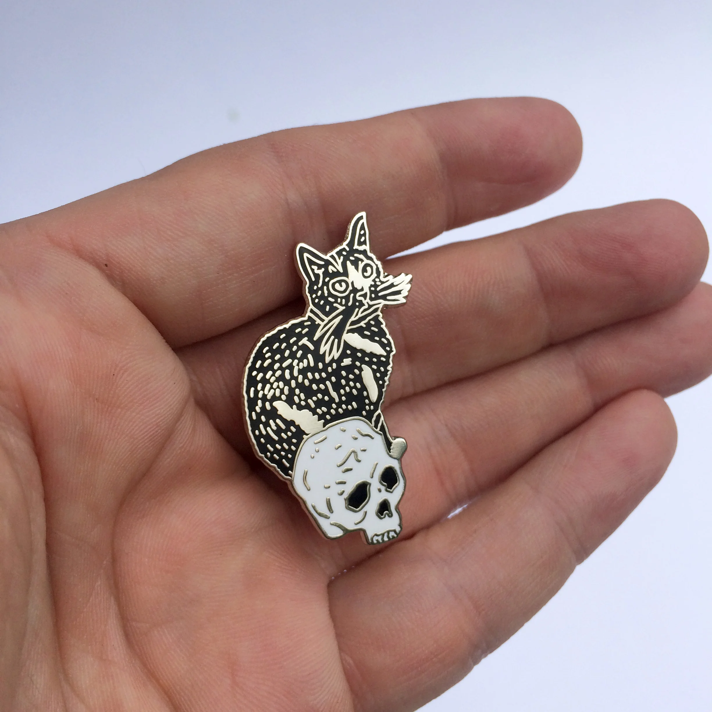 cat and skull pin in hand.jpg