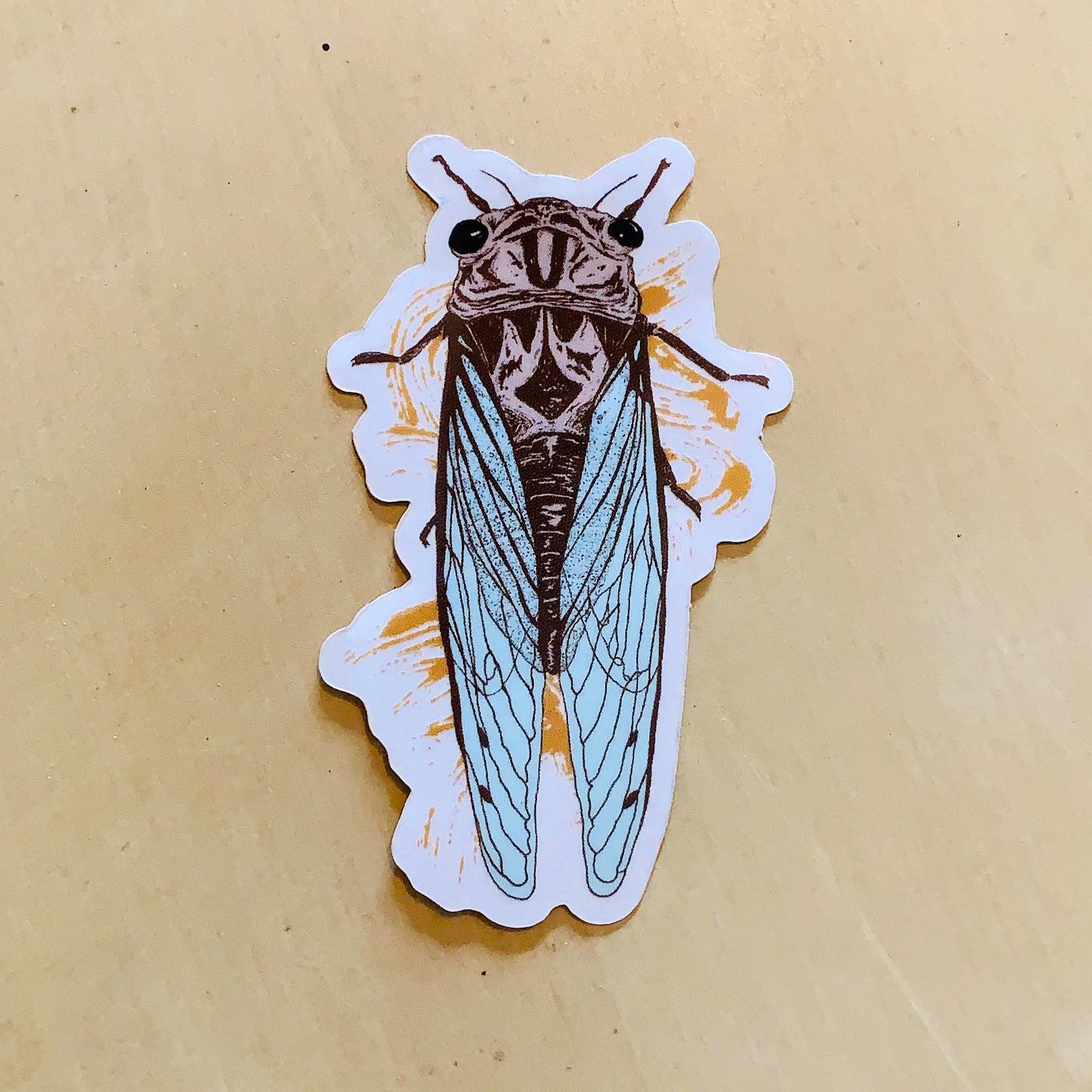 Cicada decal