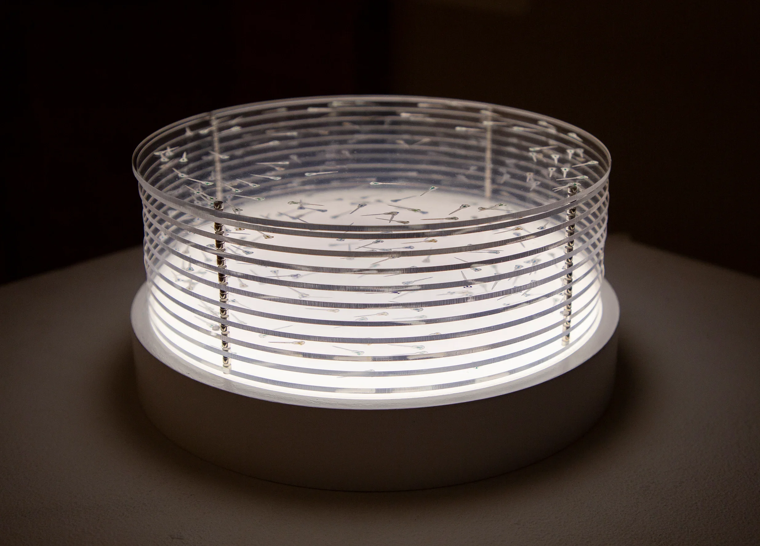 RISD Nature Lab Vis-A-Thon 2022