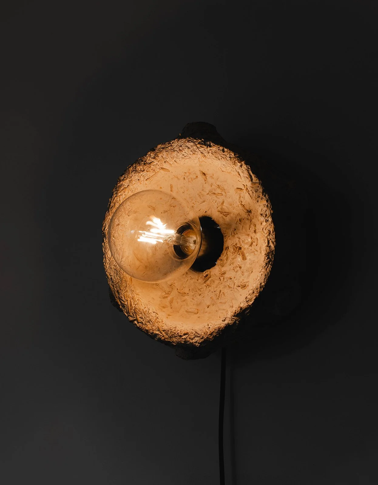Wall lamp (2025)