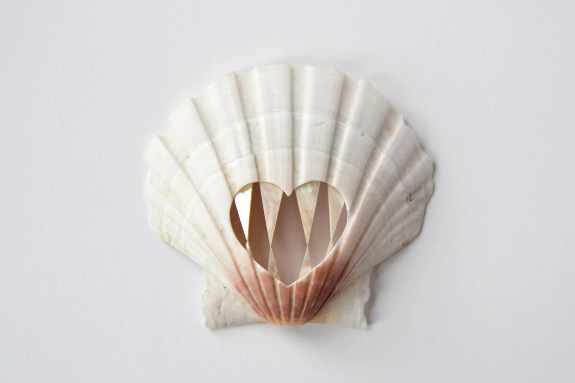 Benedikt Fischer , Pearly Whites. (Photo: courtesy Norwegian Crafts)