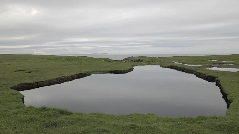 stroma2.jpg