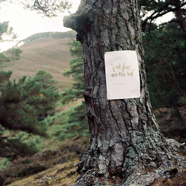 Alec Finlay , A Wolf Among Wolves , a manifesto for humandwolves, 2017 Project Wolf, pioneered by Trees for Life, Dundreggan Estate, and National Trust, Mar Lodge. photograph: Mhairi Law