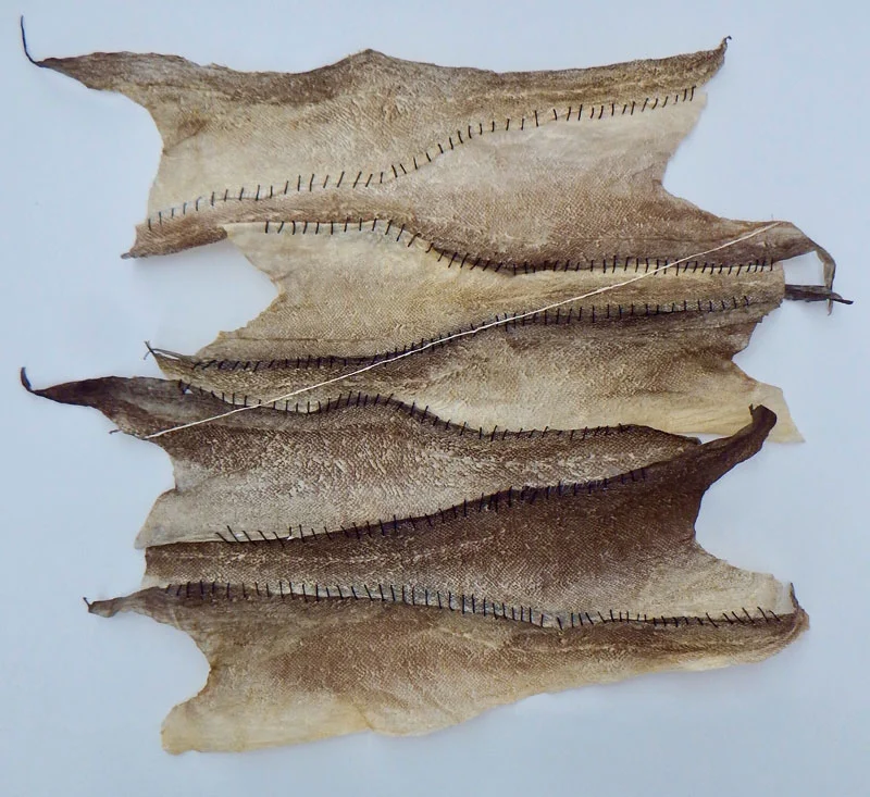 Vivian Ross-Smith , Goddamn Water , 2017. Shetland cod skin with hand stitching.