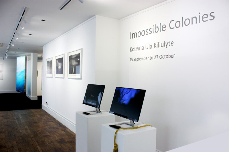 Kotryna Ula Kiliulyte , Impossible Colonies , (installation view). (Photo: Ian McKay).