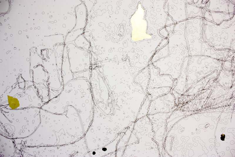 Kotryna Ula Kiliulyte , Impossible Colonies , ‘Collective Geologies Map’, Inkjet Print with gold leaf, 2019 (detail). (Photo: Ian McKay).