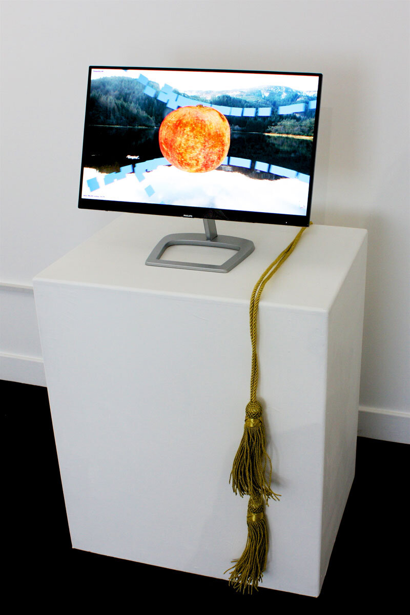 Kotryna Ula Kiliulyte , Impossible Colonies , ‘Amateur Botanist’, 2019. (Photo: Ian McKay).