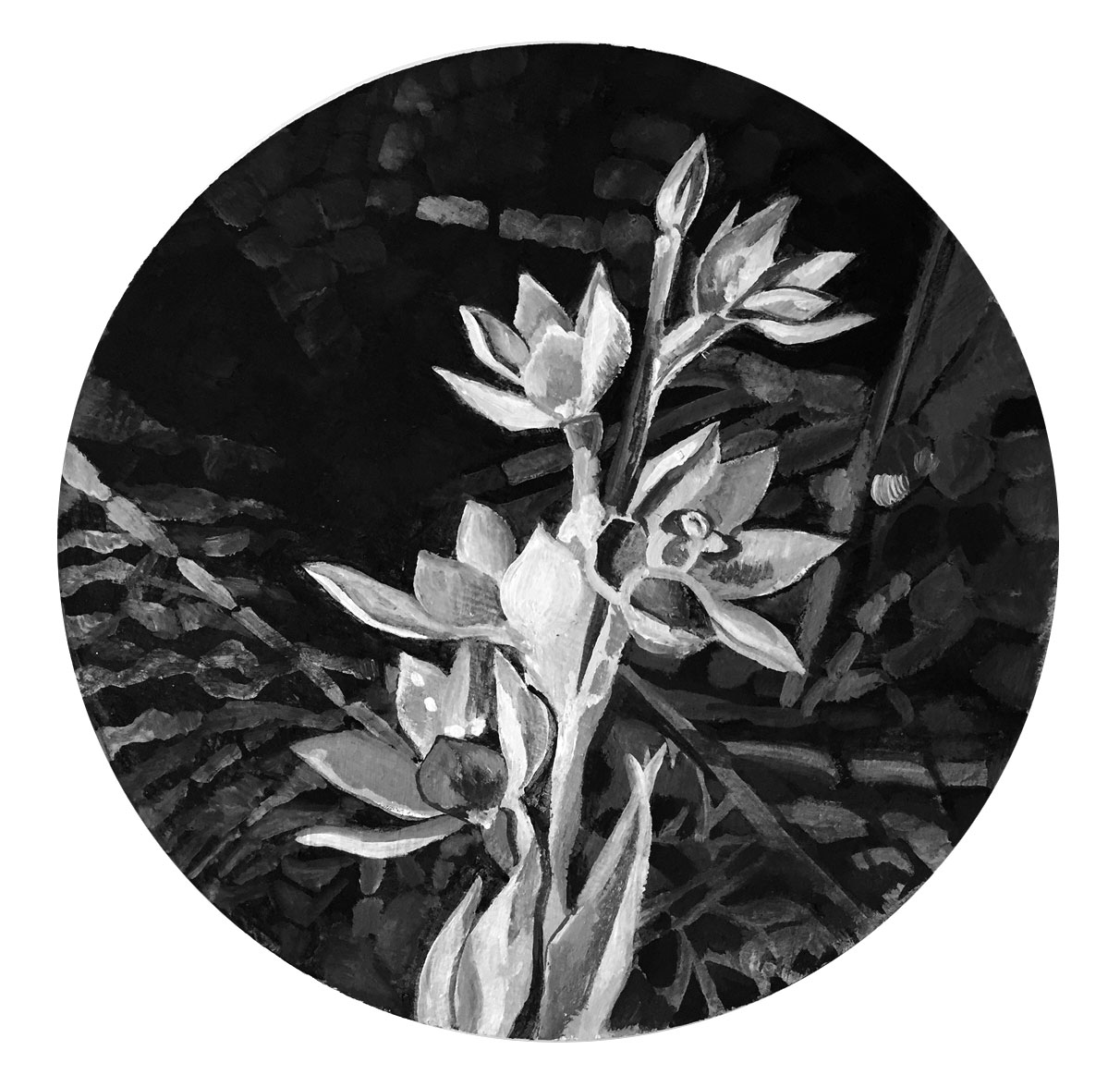 Gayle Nelson , Sky Blue Sun Orchid , from the series 'The Rarest Orchids In The World', Acrylic and Graphite Powder on Paper, 2019.
