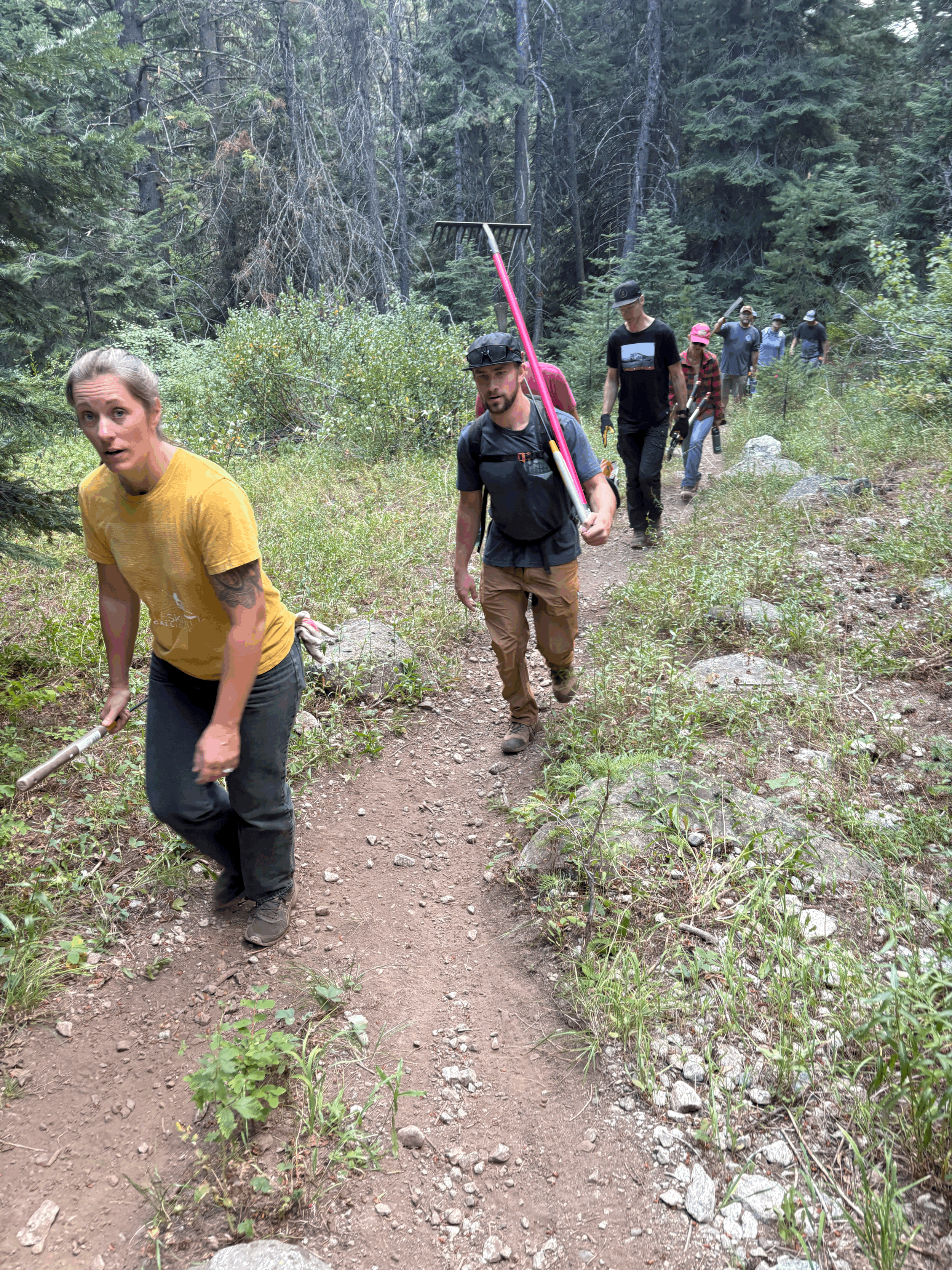 Dig Day - Bear Basin