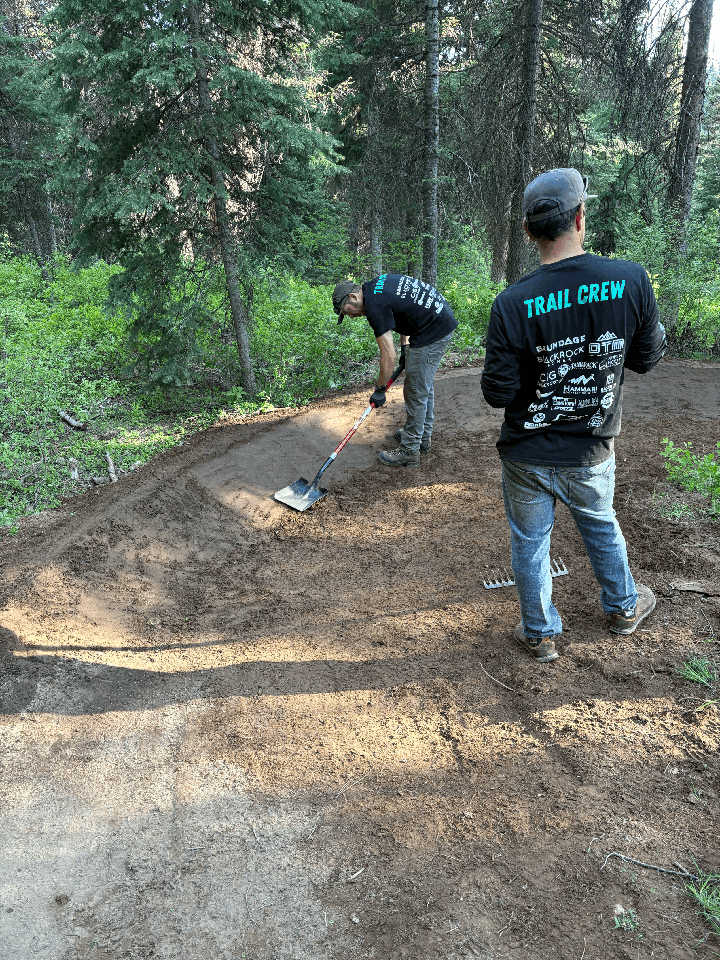 Dig Day at Bear Basin