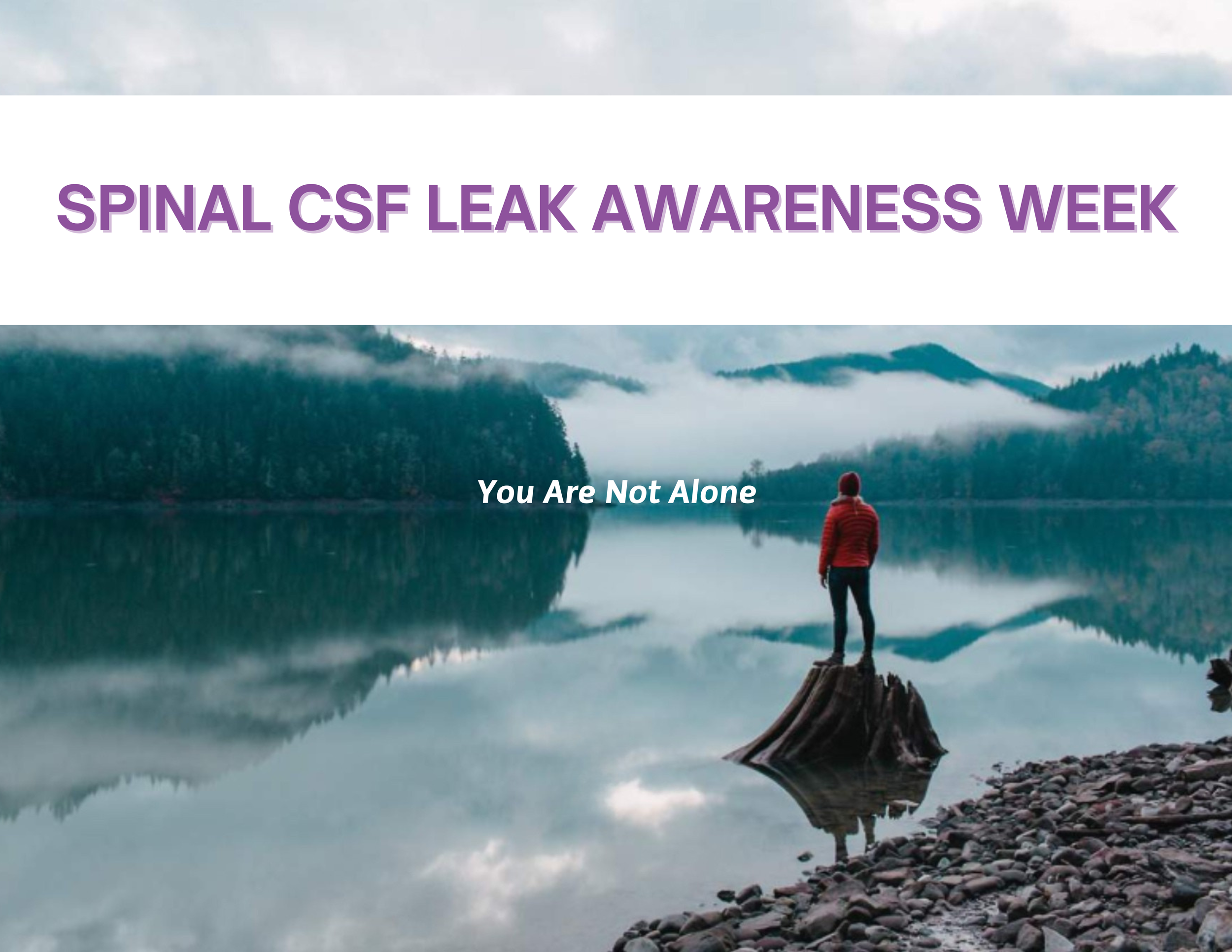 social media posts-2.png