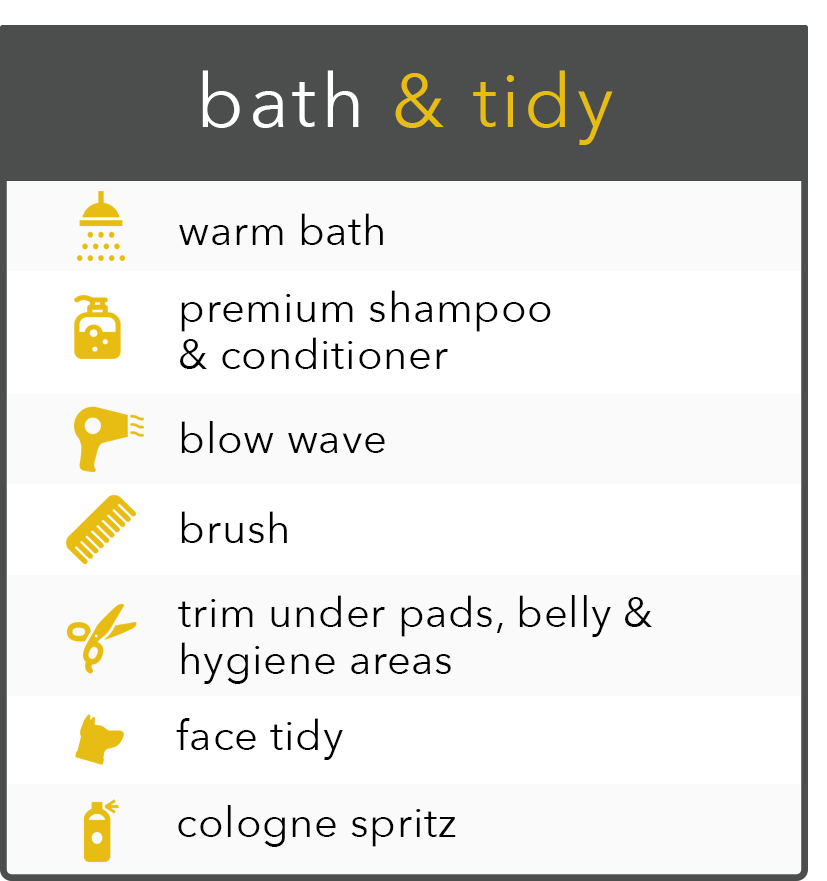 Bath & Tidy Infographic.png