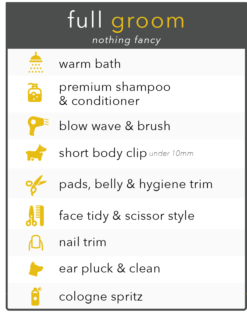 Full Groom Infographic.png