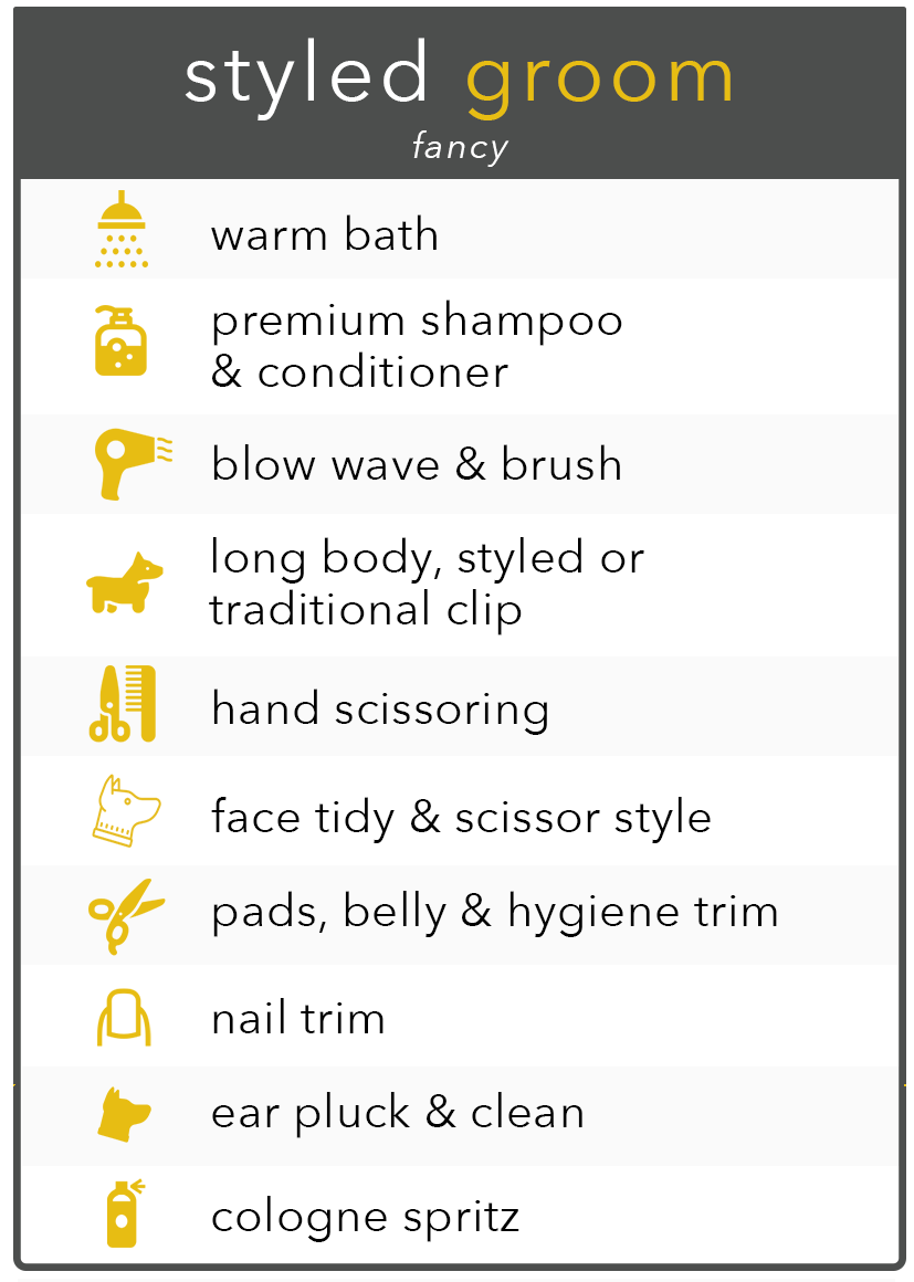Styled Groom Infographic.png
