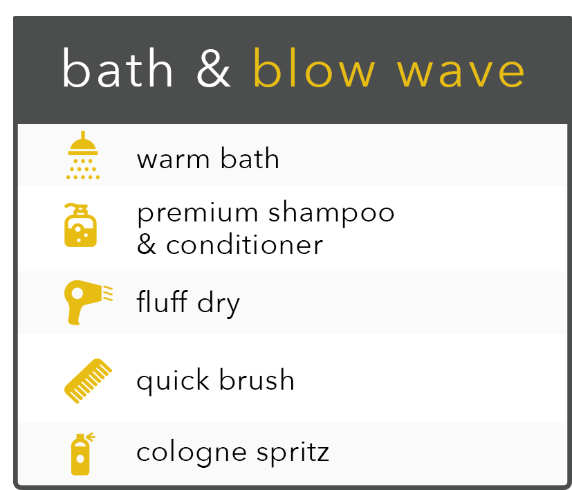 Bath & Blow Wave Infographic.png