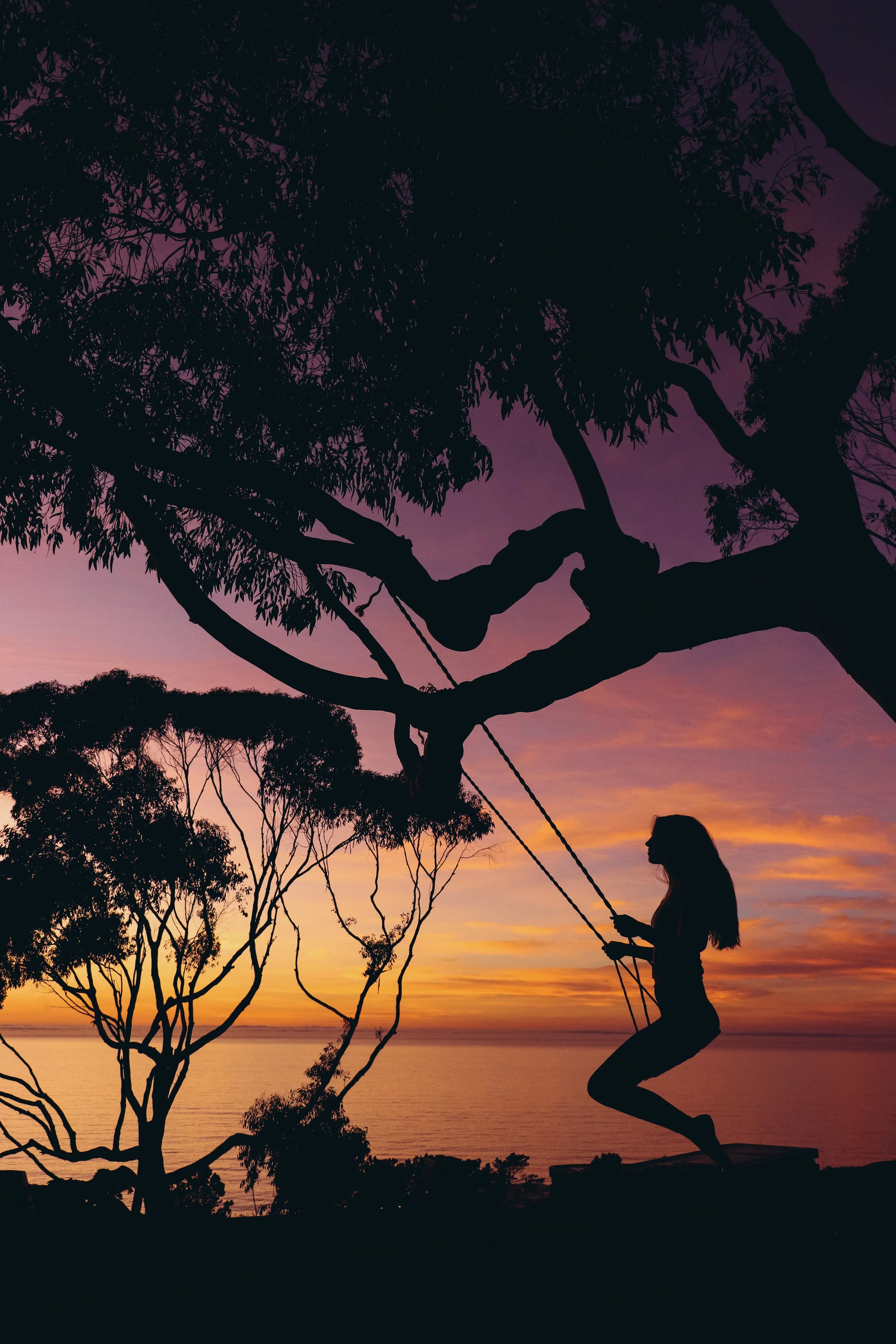 Four Reasons Why San Diego is Your Next Getaway Trip