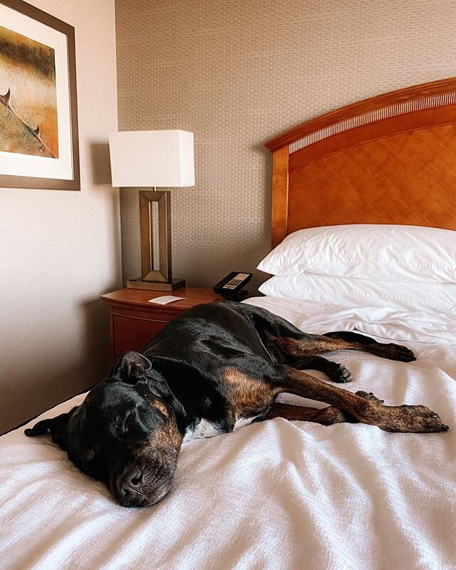 Stop two and we made it to El Paso! Hunnies was really tired from all of the driving and immediately passed out on the bed at the Embassy Suites. @trainss and I had a solid virtual workout followed up with our second round of Chipotle... which curren