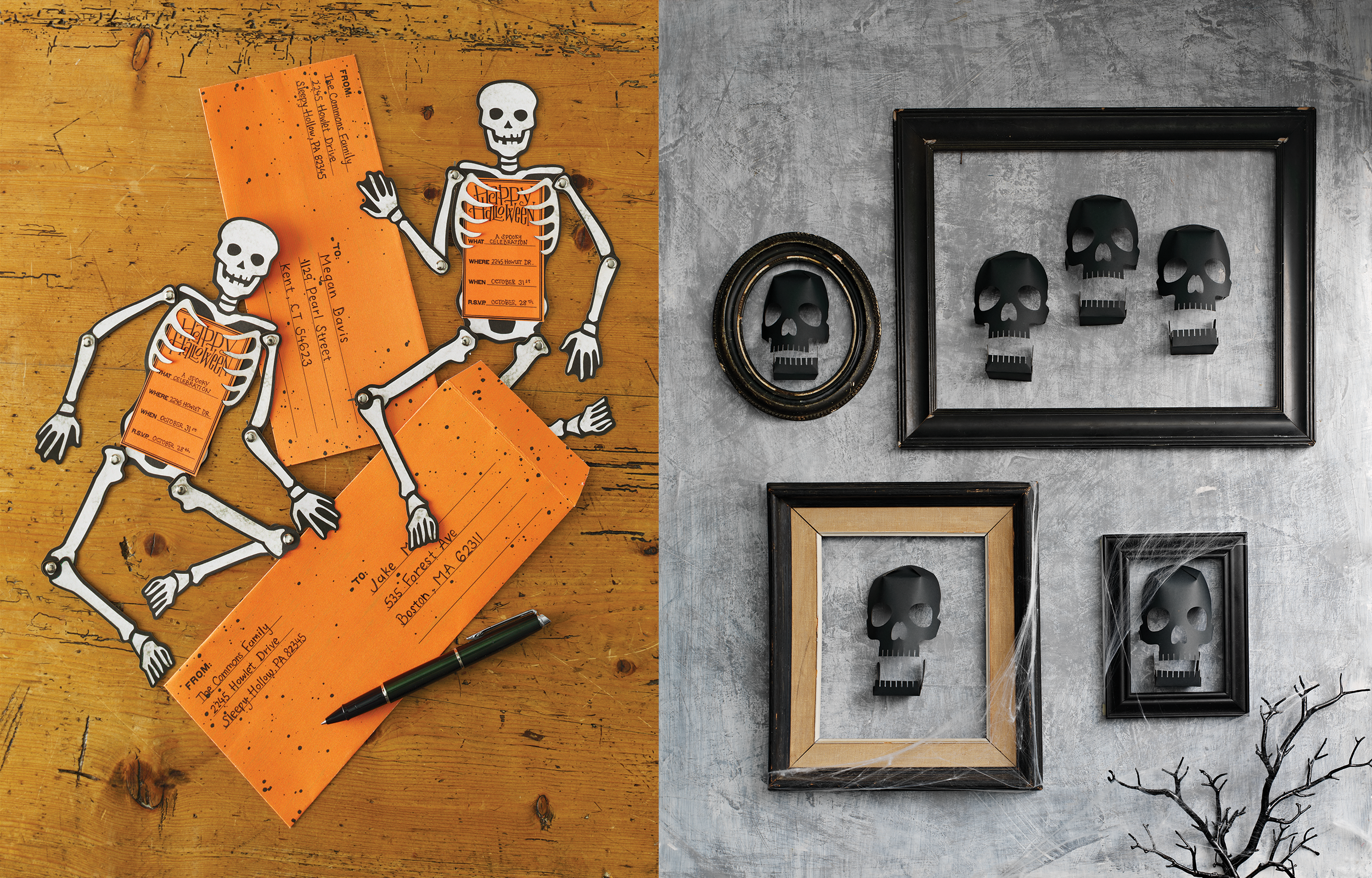 Skull Products