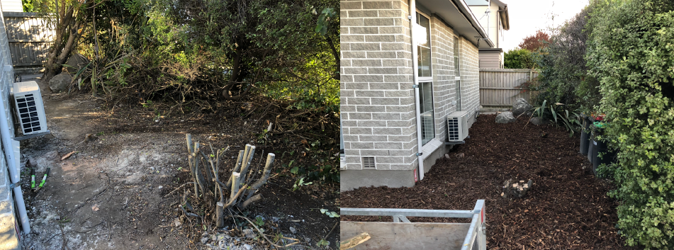 garden clearing