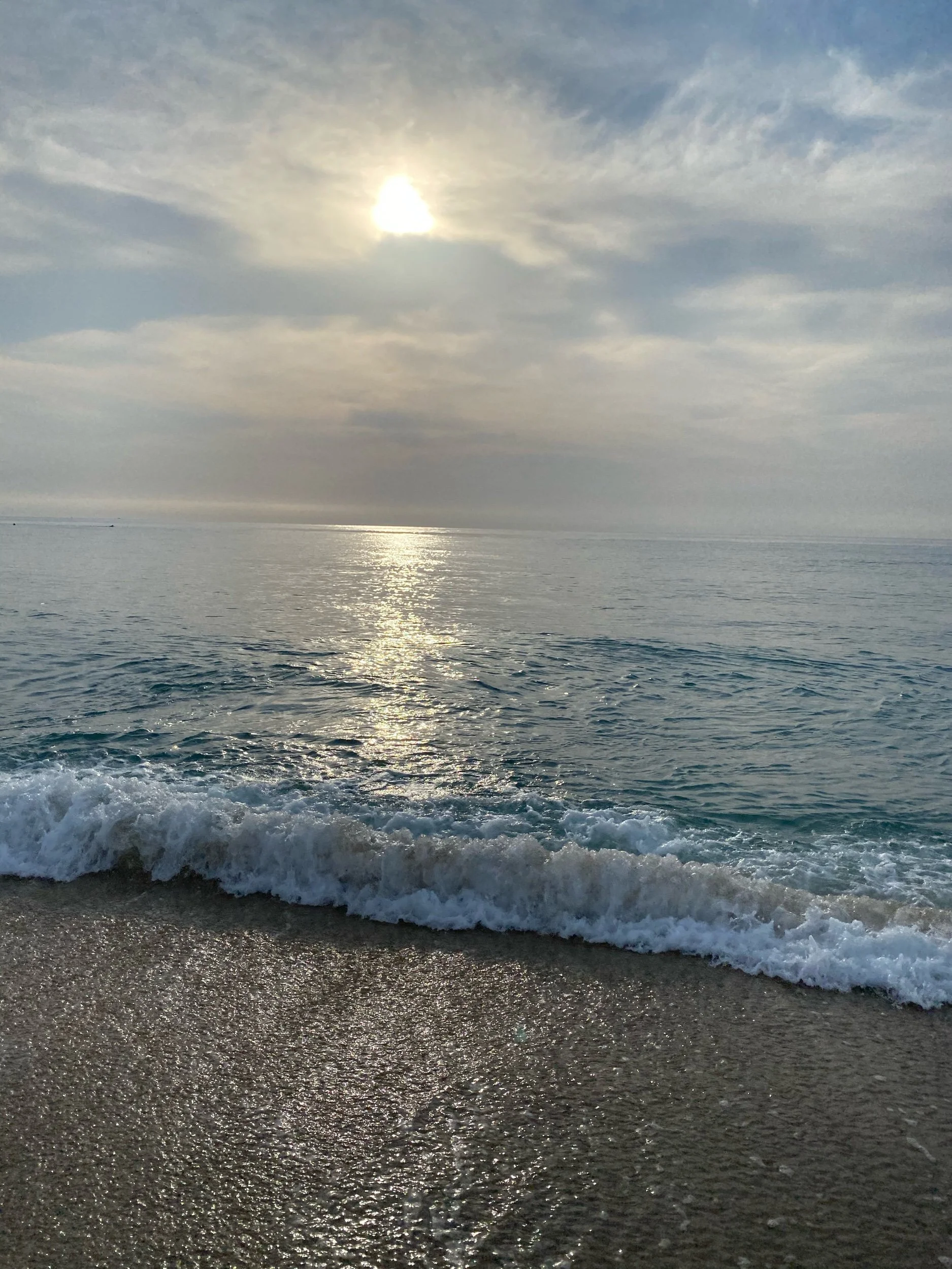 IMG_6617.jpeg