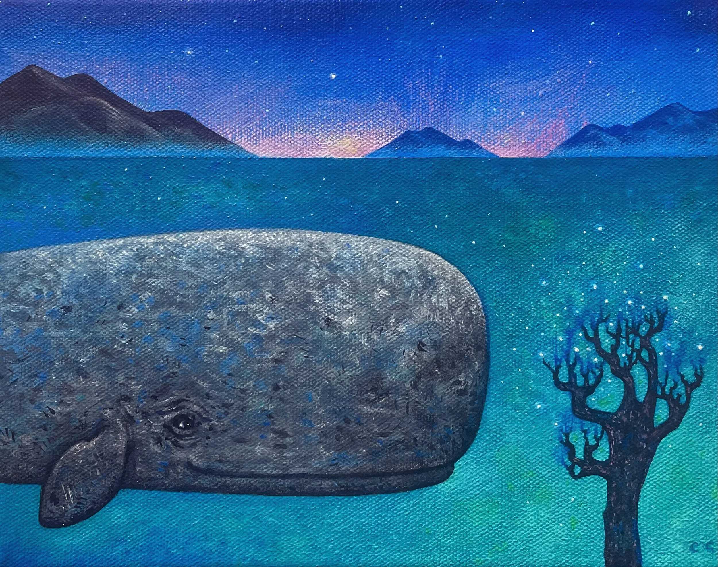 Underwater constellation 