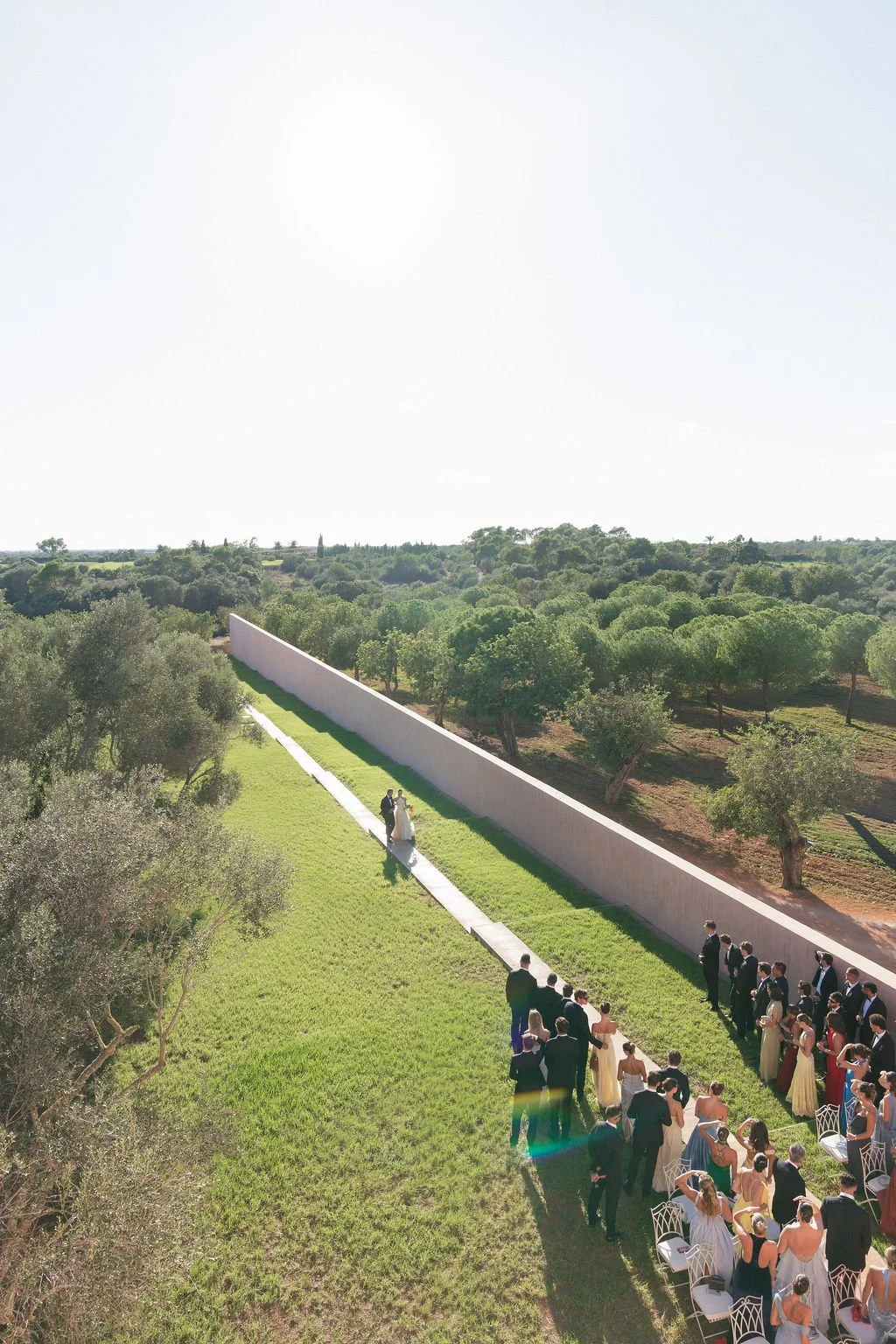 An aerial view of a wedding ceremony among olive trees.