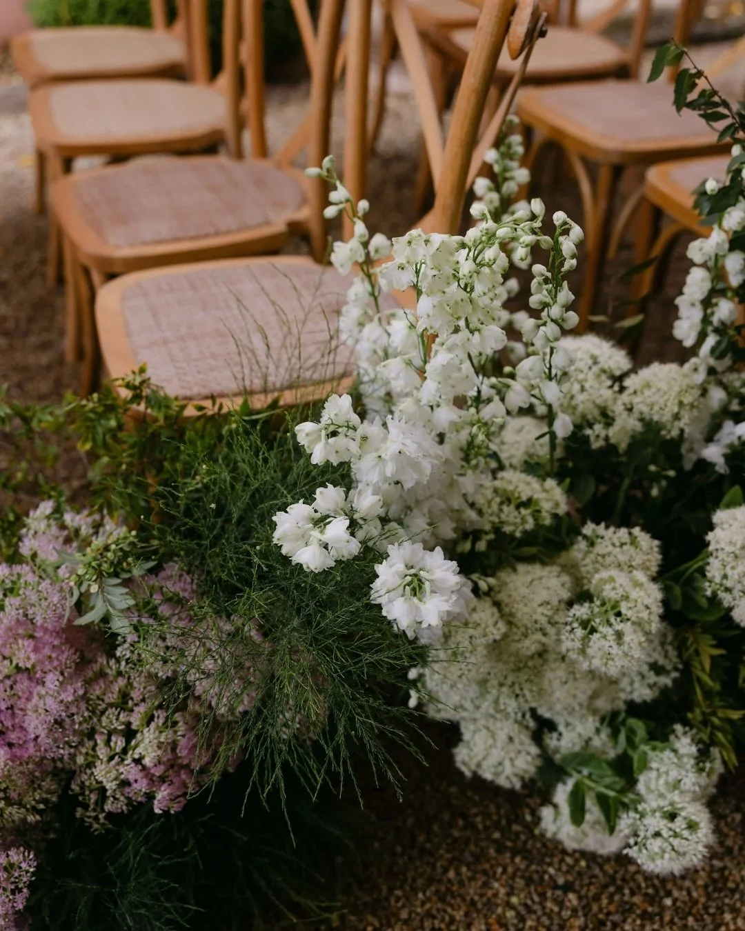 Ceremony styling dreams at @redleafwollombi for G+D.
A romantic garden setting brought to life through layered florals, warm tones and an atmosphere of effortless elegance.

Bride | @georgie_eaton
Groom | @schmoobey
Venue | @redleafwollombi
Planner |