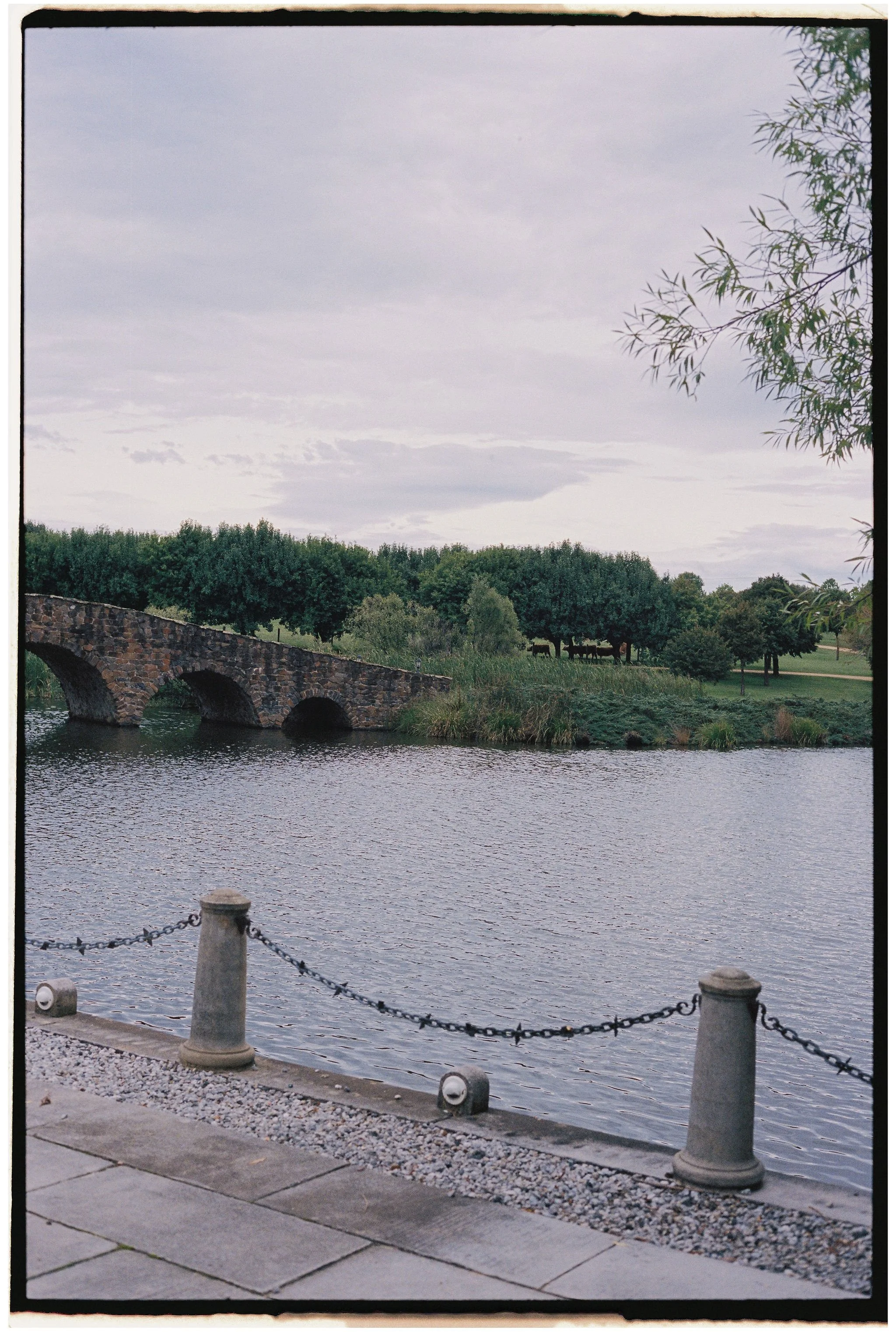 Maddy&Michael-Wedding-Film-BlaiseBellPhotography-47.jpg