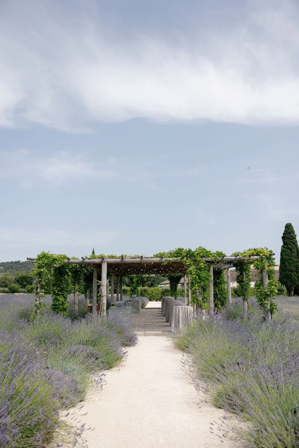Pathway leading to a wooden pergola with green vines in a lavender field under a partly cloudy sky.