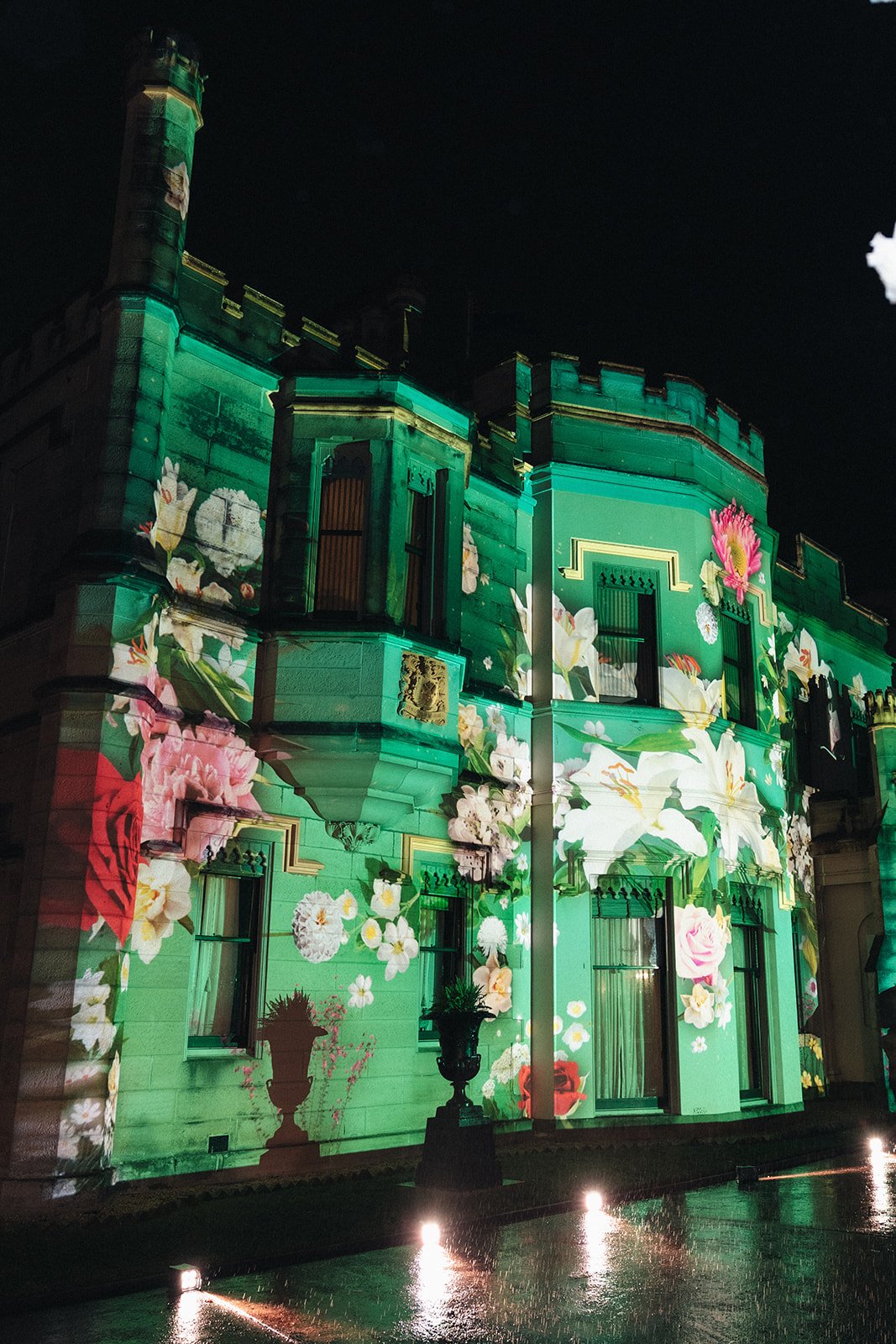 Nighttime projection of floral patterns on a large green building with multiple windows, decorated with potted plants.