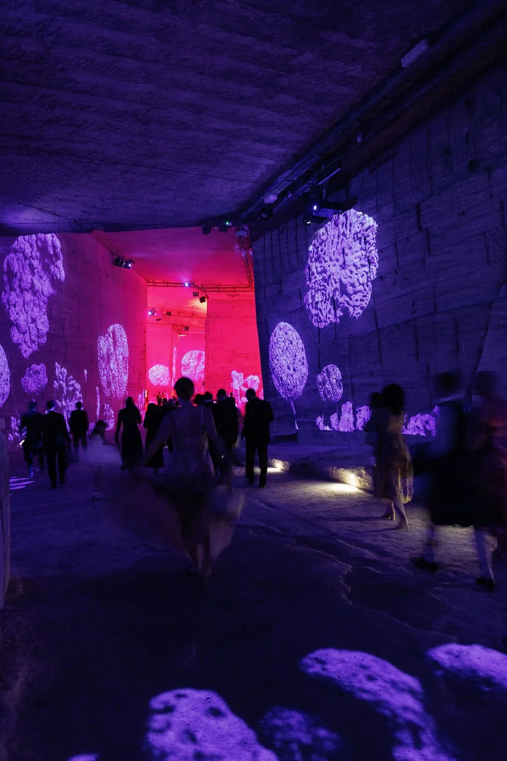 People walking through a tunnel with purple and pink lighting, with projected images of colorful poppies on the walls.