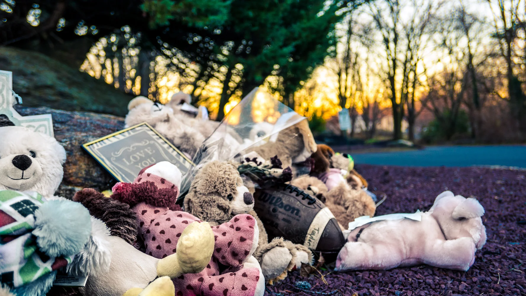 Roadside Memorial \ \ Day 8 \ \ 2/20/17