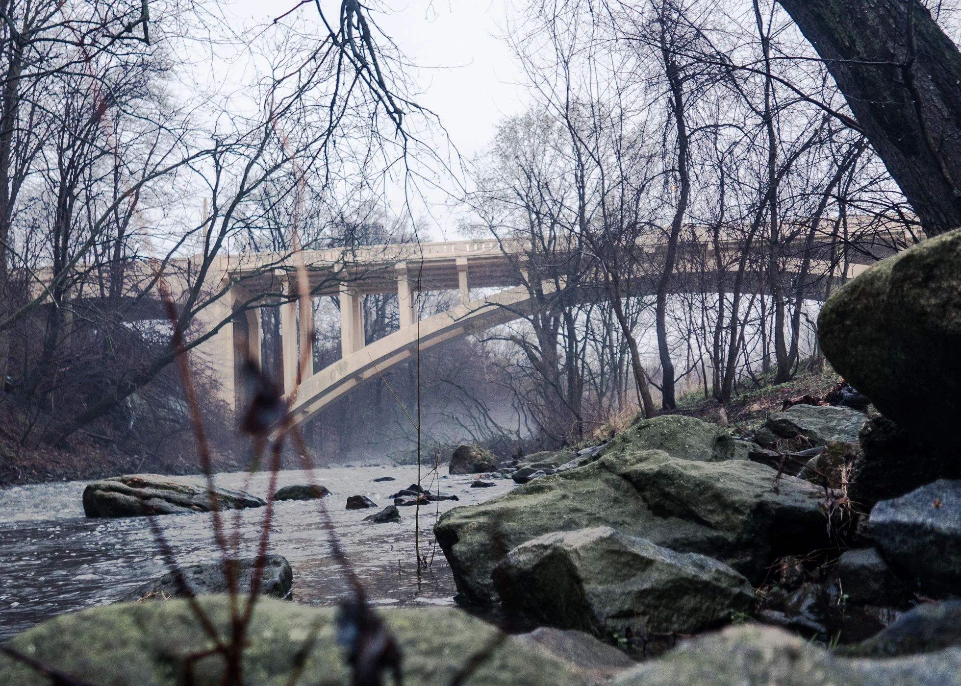 Lindbergh Bridge Over Misty Morning \ \ Kent Park \ \ 4/4/17