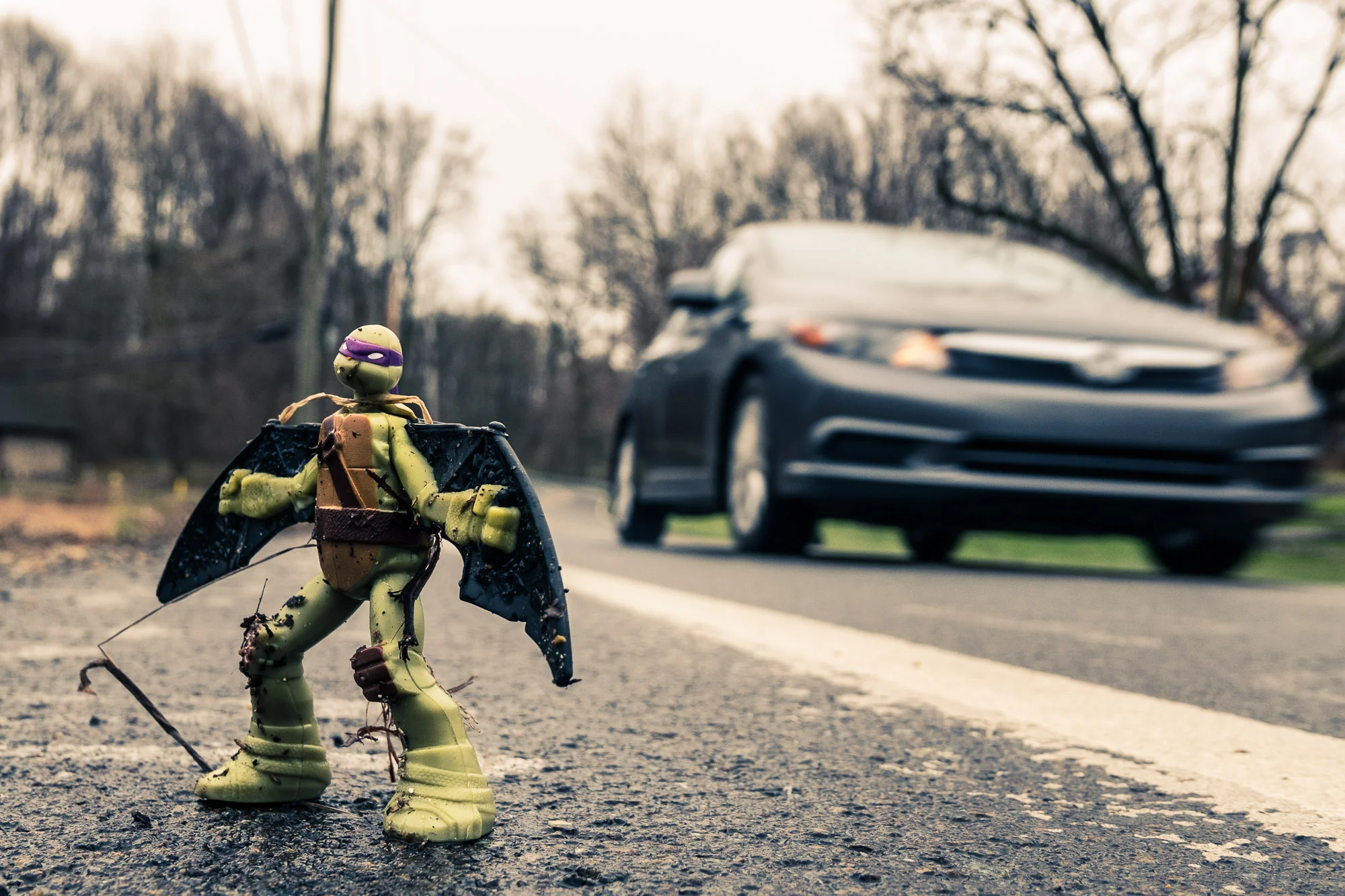 Donatello on the Streets \ \ 4/7/17