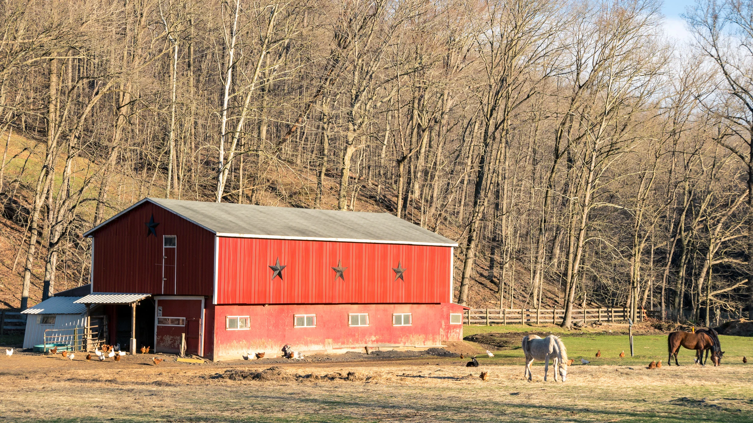 Random Barn \ \ 4/8/17