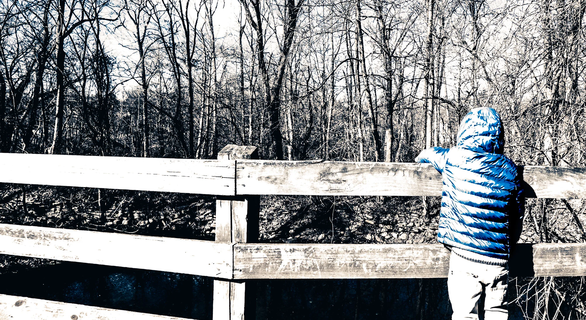 The Kid Blue | | Day 6