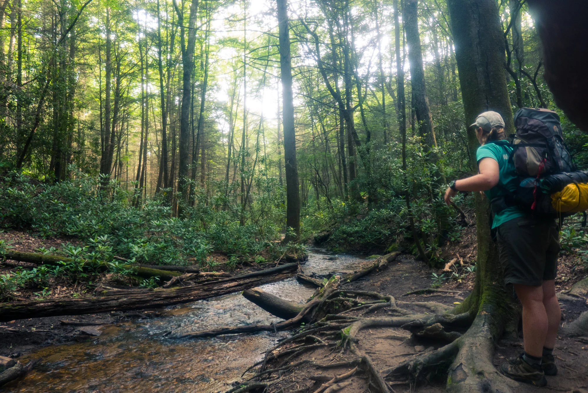 Justus Creek Crossing