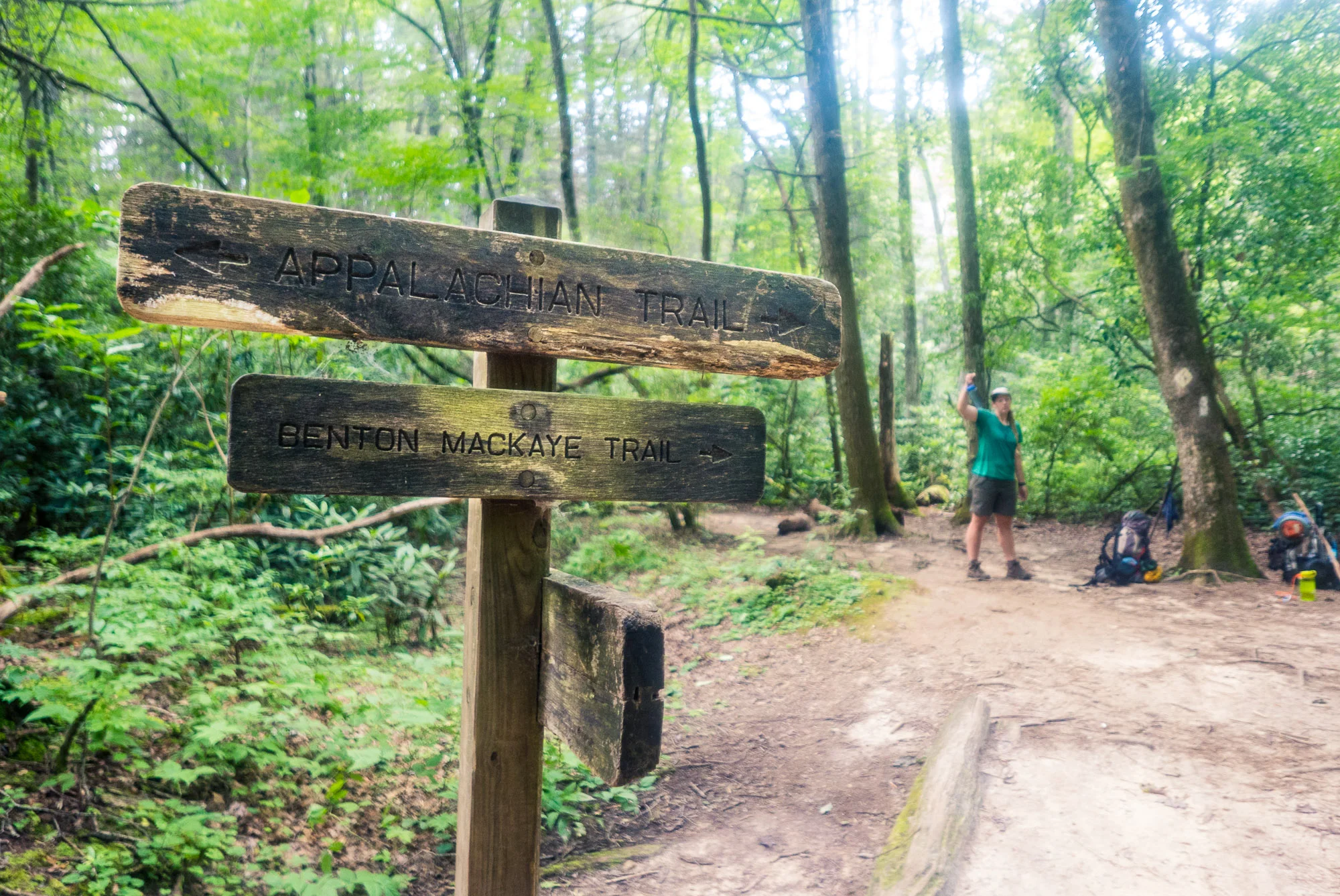 Signs in the Woods