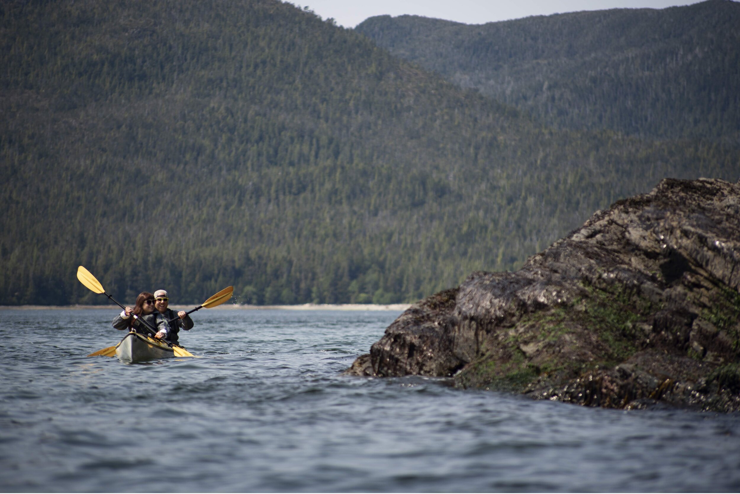 Shoreline Kayaking.jpg