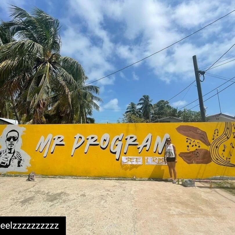 DVCAI Belize 2022 Day 3:

Reposted from @twheelzzzzzzzzzz Day 3: Started our day visiting artist Chelsea Johnston @_chelskels finishing her mural dedicated to the beloved musician Mr. Program. A bold golden yellow celebrates his music, not just tragi