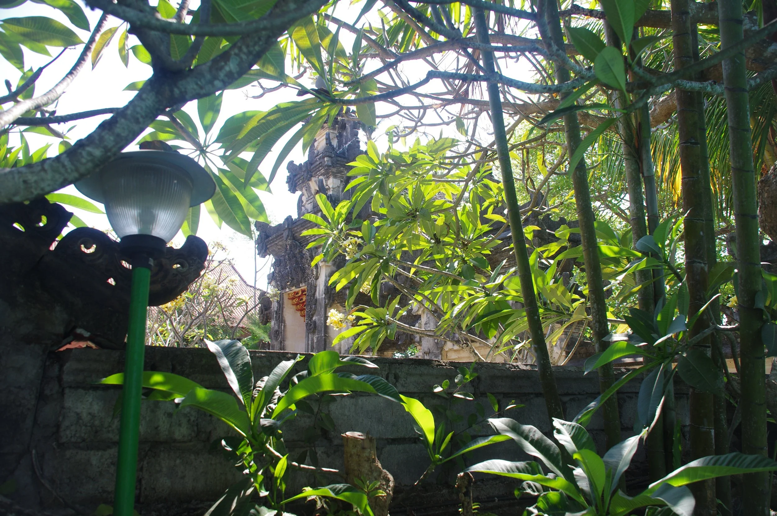 Faith and Surrender as techniques of Yoga