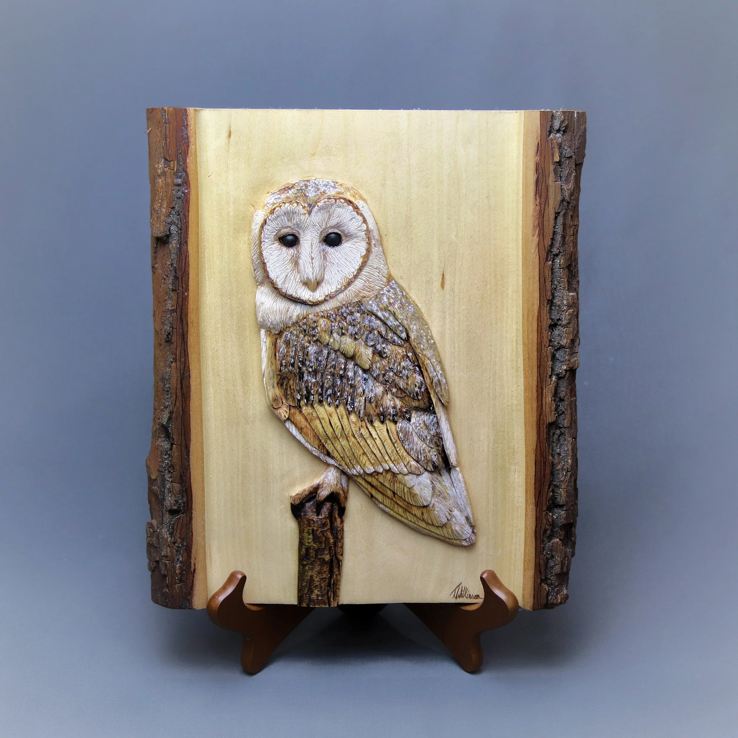 "Barn Owl"