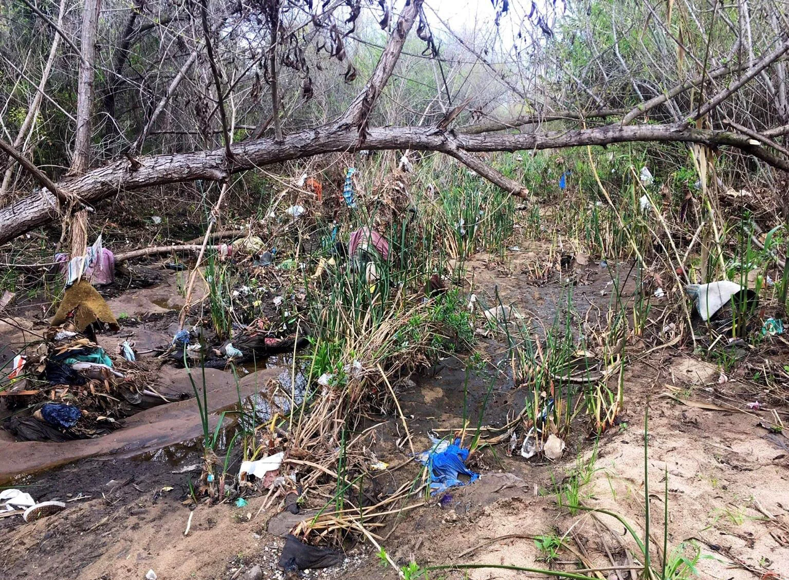 San Diego River before.