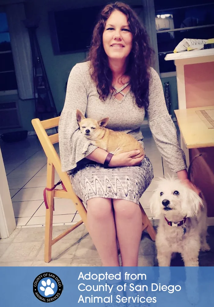๐ถ of Paola Giaquinto, Centralized Child Welfare Services
